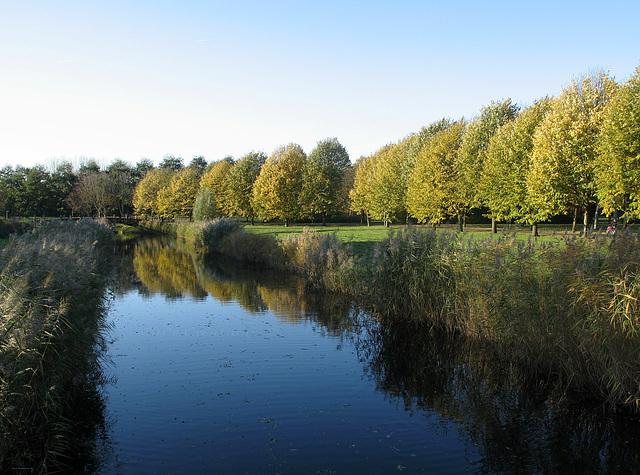 Autumn Reflections