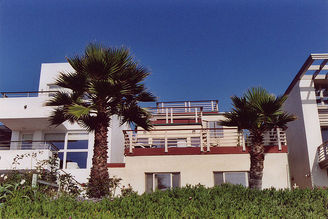 Modern House & Palm Trees in Manhattan Beach, 2005