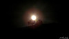 DSCF2841