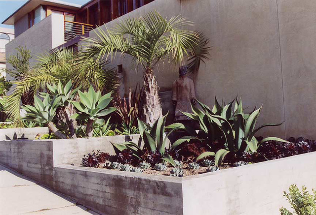Garden in Manhattan Beach, 2005