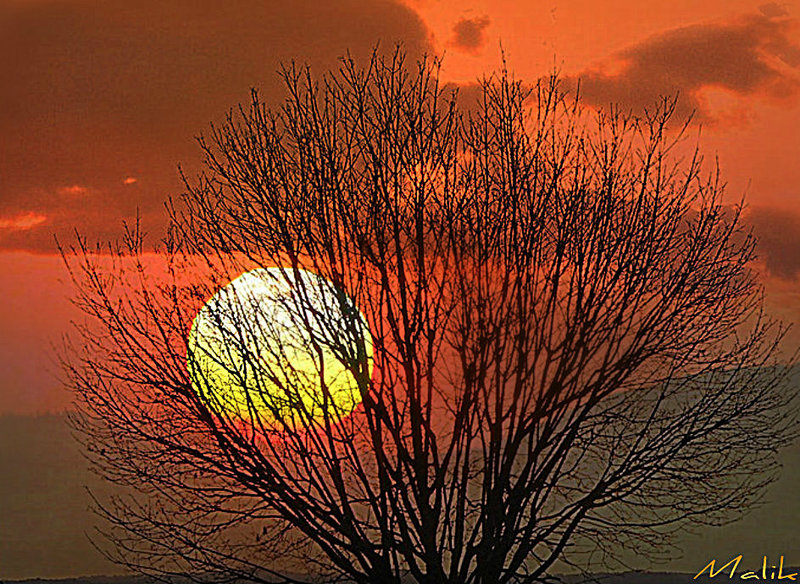 Bonne fin de soiree..!