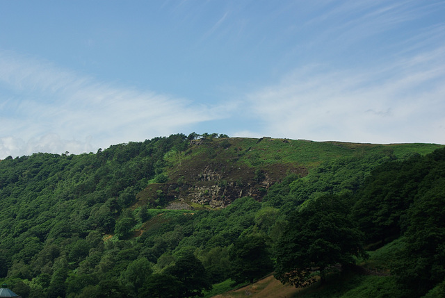 Kinder Bank Wood