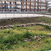 Remains of the Archaic Period Suburban Sanctuary in Giardini-Naxos, March 2005