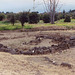 The Remains of the First Ancient Greek Colony in Sicily: Naxos, March 2005