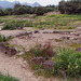 The Remains of the First Ancient Greek Colony in Sicily: Naxos, March 2005