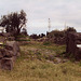 The Remains of the First Ancient Greek Colony in Sicily: Naxos, March 2005