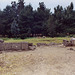 The Remains of the First Ancient Greek Colony in Sicily: Naxos, March 2005