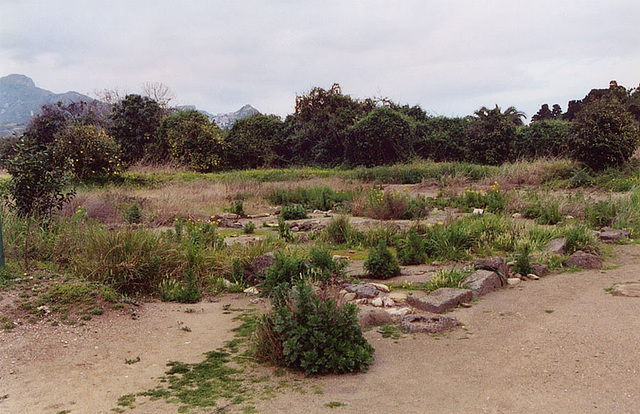 The Remains of the First Ancient Greek Colony in Sicily: Naxos, March 2005