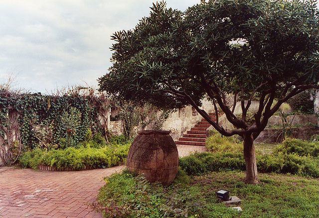 Archaeological Museum Courtyard Garden & Pithos Jar in Naxos, March 2005