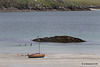 Low Tide