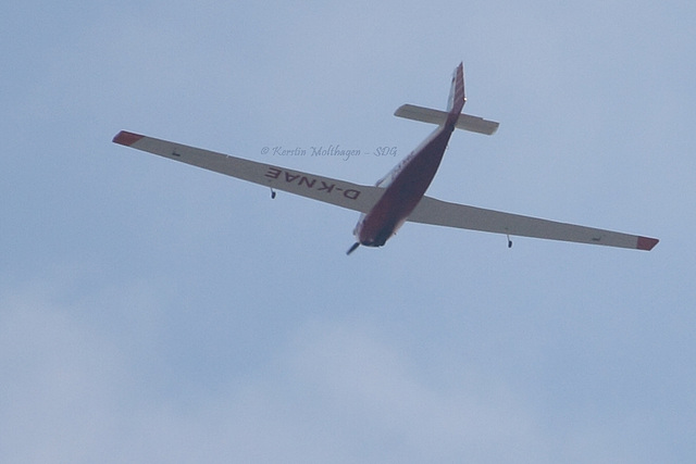 Flugzeug über der Wilhelma