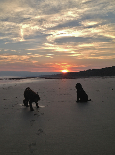 Waratah Bay in winter