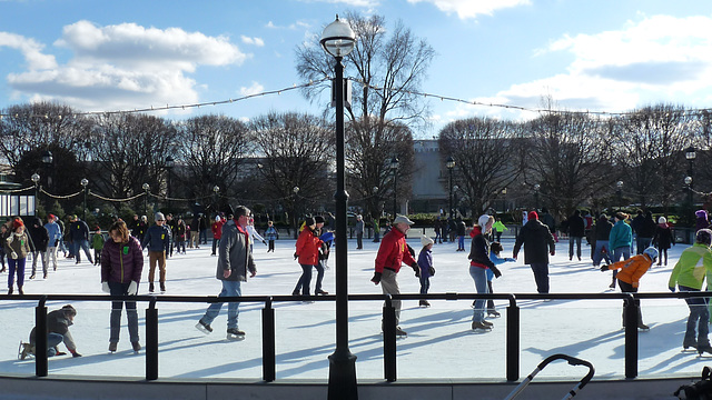 Sculpture Garden Ice Rink