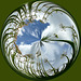 Circle 5