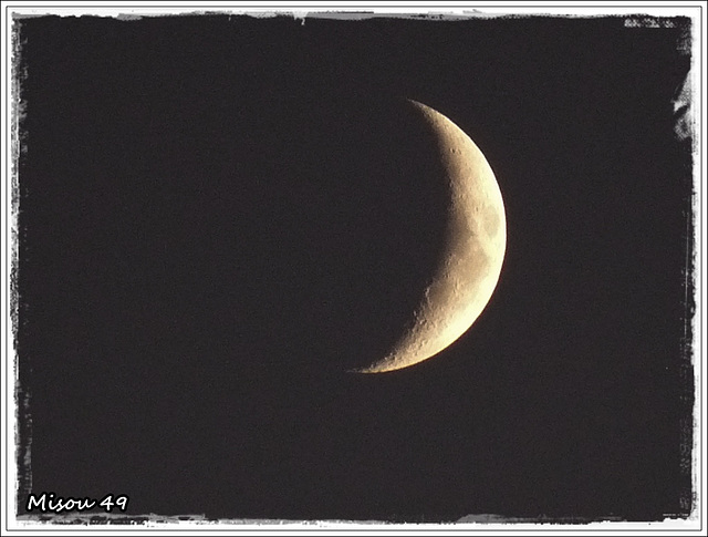 CLAIR de LUNE CLAIR de LUNE