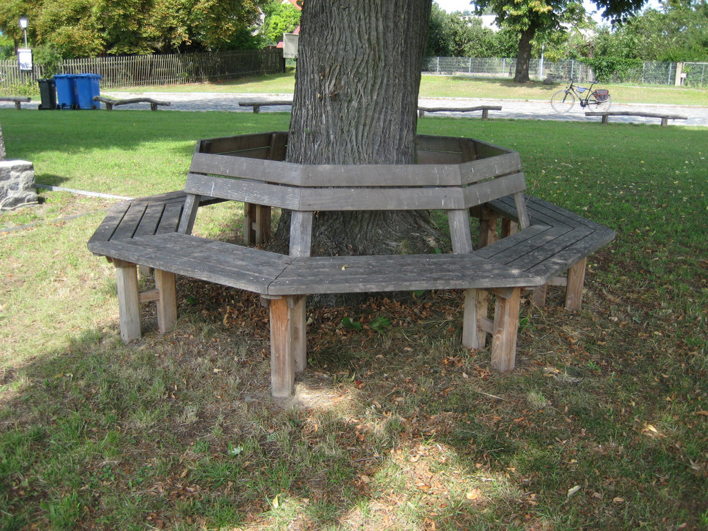 Bank unter einer Linde - Tremsdorf