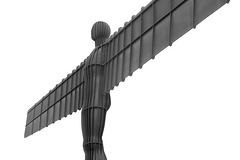 Angel of the North (4)