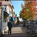 autumn trees in Cowley Road