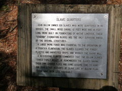 plaque