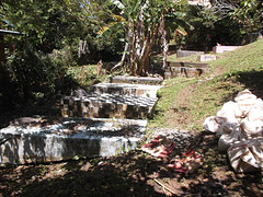 Cimetière caribéen / Caribbean cemetery.
