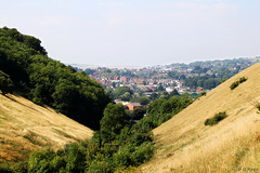 Lewes