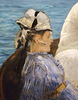Detail of Boating by Manet in the Metropolitan Museum of Art, November 2008
