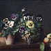 Detail of Still Life with Pansies by Fantin-Latour in the Metropolitan Museum of Art, November 2009