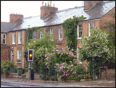 summer rain in Cowley Road