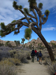 Hike To Garret's Arch (5629)