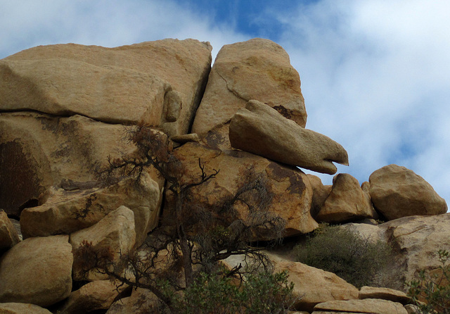 Hike To Garret's Arch (5637)