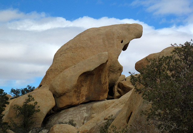 Hike To Garret's Arch (5638)