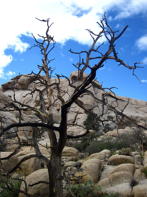 Hike To Garret's Arch (5639)