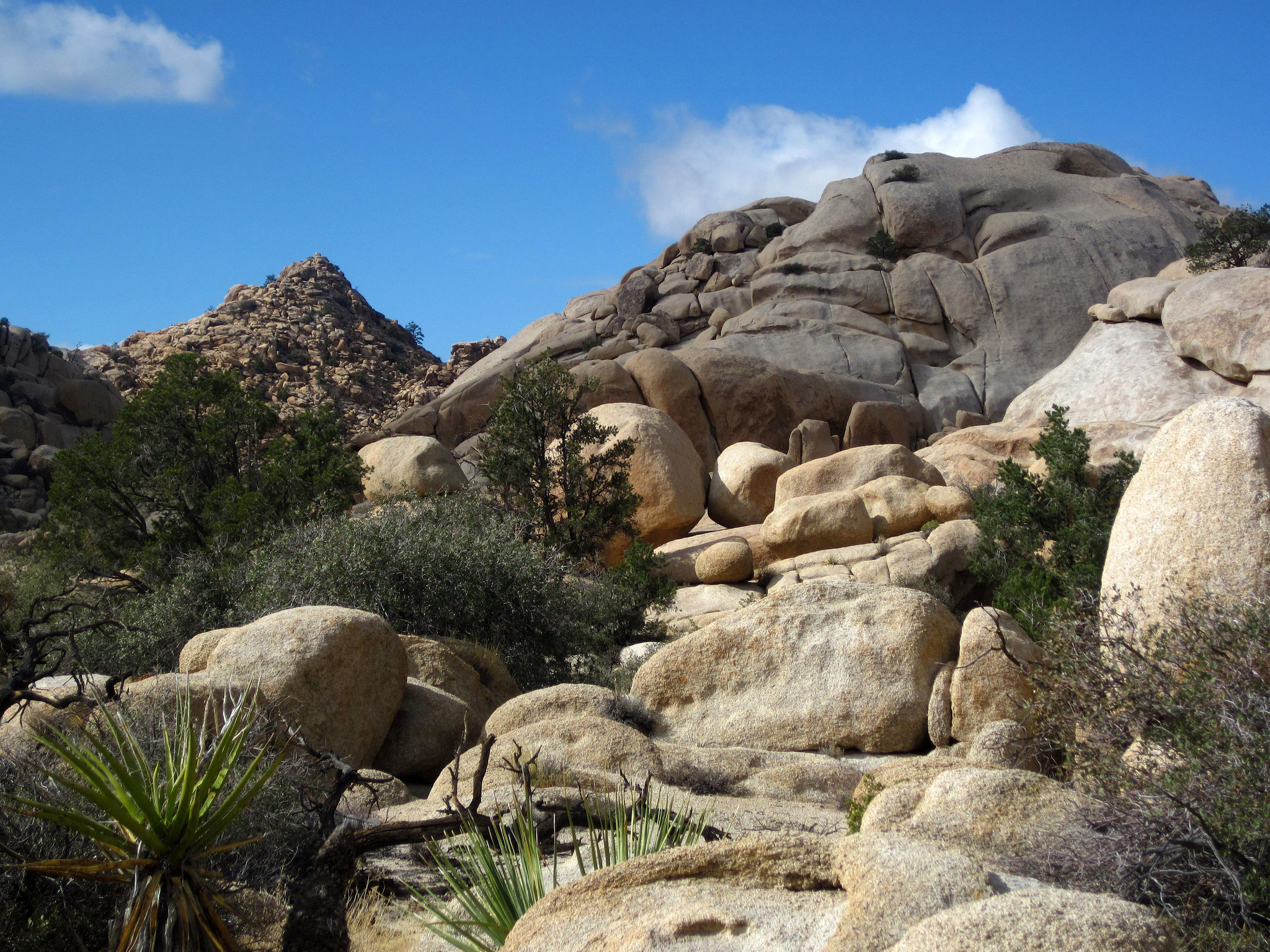 Hike To Garret's Arch (5642)