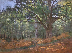 Detail of The Bodmer Oak, Fountainbleu Forest by Monet in the Metropolitan Museum of Art, August 2010