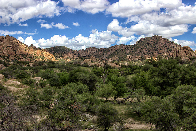 The Little Dragoon Mountains