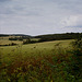 Hertfordshire view (1)