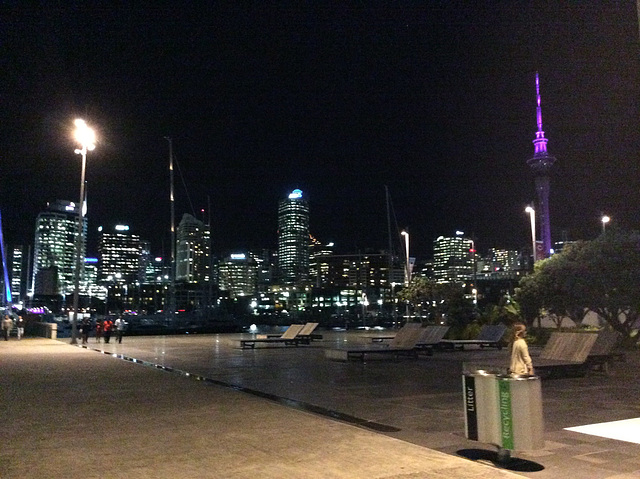 Auckland at Night