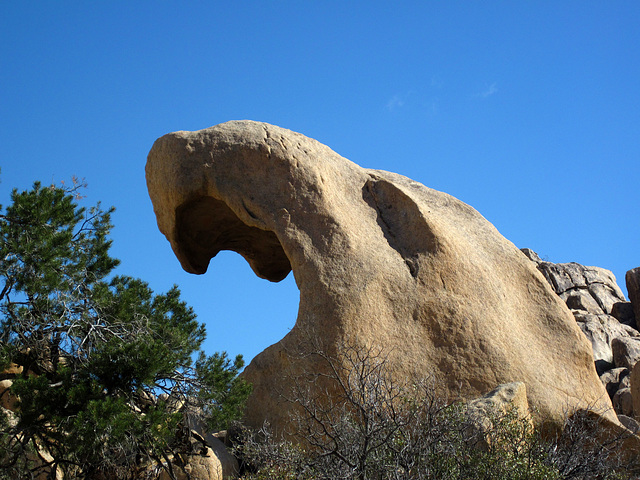 Hike To Garret's Arch (5675)