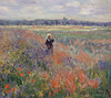 Detail of Poppy Fields Near Argenteuil by Monet in the Metropolitan Museum of Art, August 2010