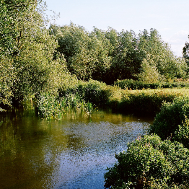 The River Lee near Wheathampstead.