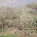 Detail of Spring (Fruit Trees in Bloom) by Monet in the Metropolitan Museum of Art, August 2010
