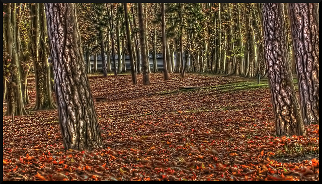 BESANCON: Dame nature a revétue sont manteau d'hiver.