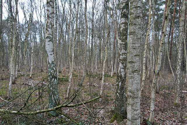 wald-1180317-co-02-03-14