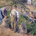 Detail of Potato Gatherers by Pisarro in the Metropolitan Museum of Art, January 2008