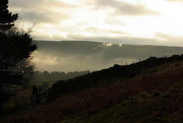 Torside Clough