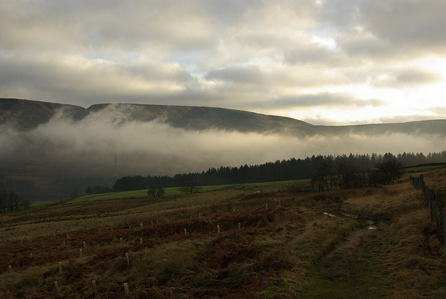 Pennine Way path at Crowden