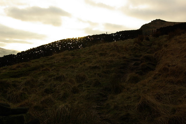 See Through dry stone wall