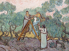 Detail of Women Picking Olives by Van Gogh in the Metropolitan Museum of Art, December 2008