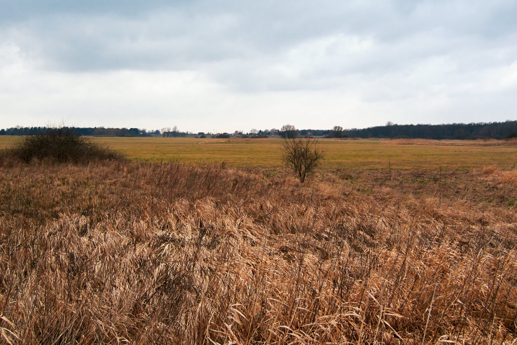 marschland-1180320-co-02-03-14