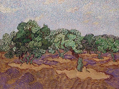 Detail of Olive Orchard by Van Gogh in the Metropolitan Museum of Art, December 2008